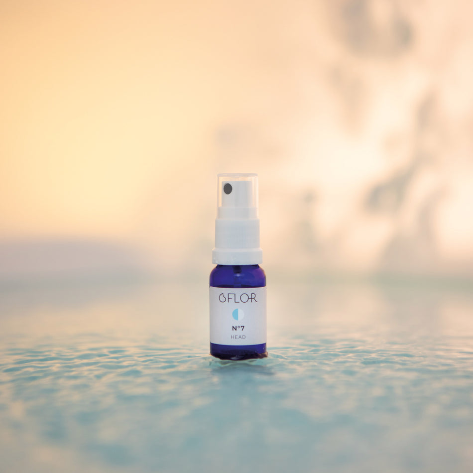 O'Flor n°7 Head